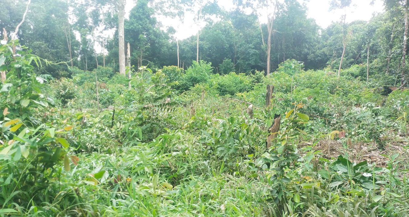 WhatsApp Image 2025-01-25 at 16.03.39